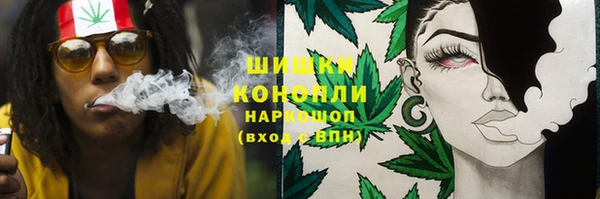 молекула духа Алексин