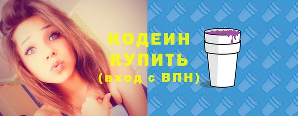 индика Абаза