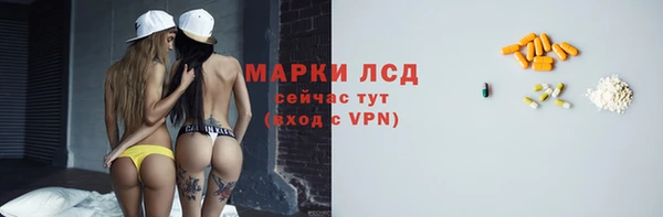 PSILOCYBIN Алзамай
