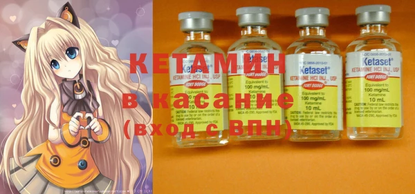 индика Абаза
