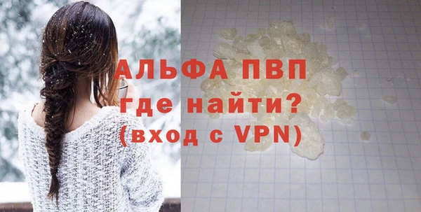 индика Абаза