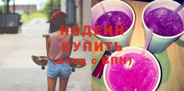 индика Абаза